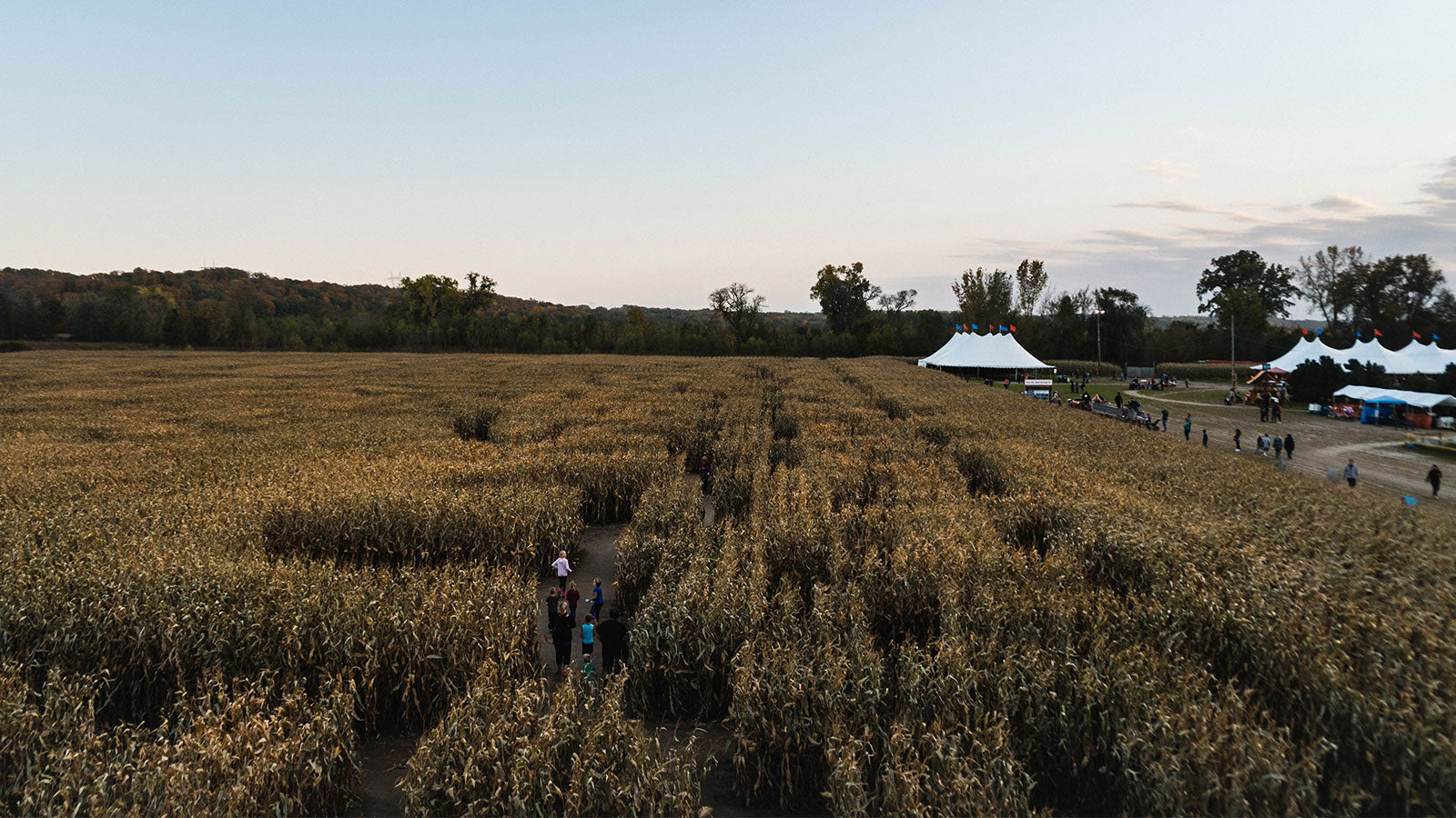 MURRAL Maze top グリーン Gallery – The Corn Maze Guy