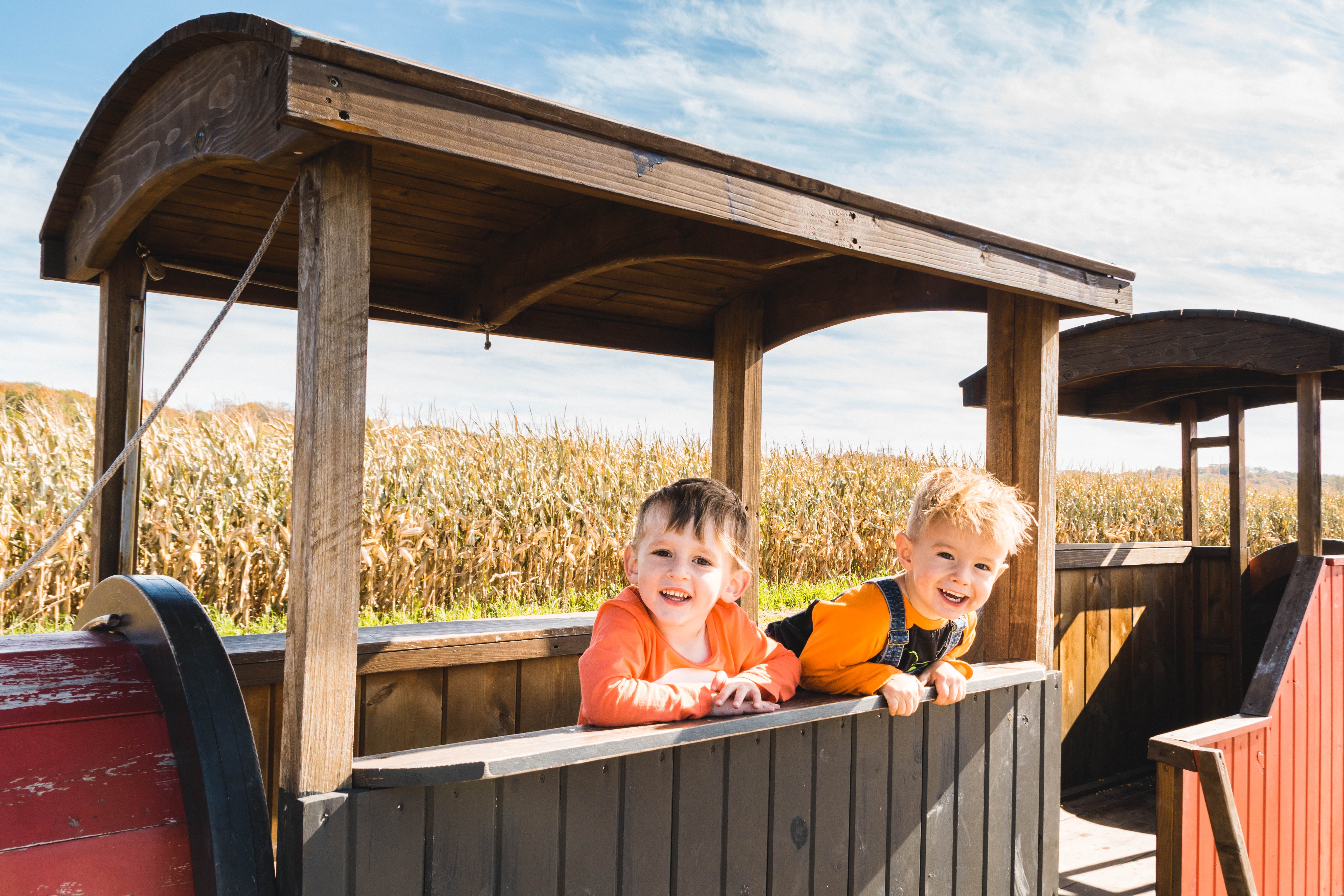 Two young children smiling and leaning on a wooden play structure outdoors, with a cornfield and blue sky in the background.